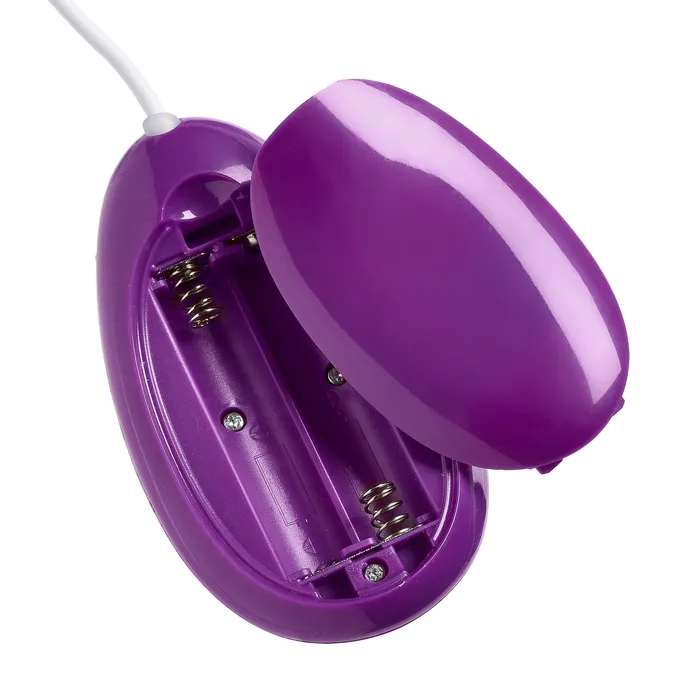 Fairvillacom Female Sex Toys Cloud 9 3 Speed Bullet With Remote Purple